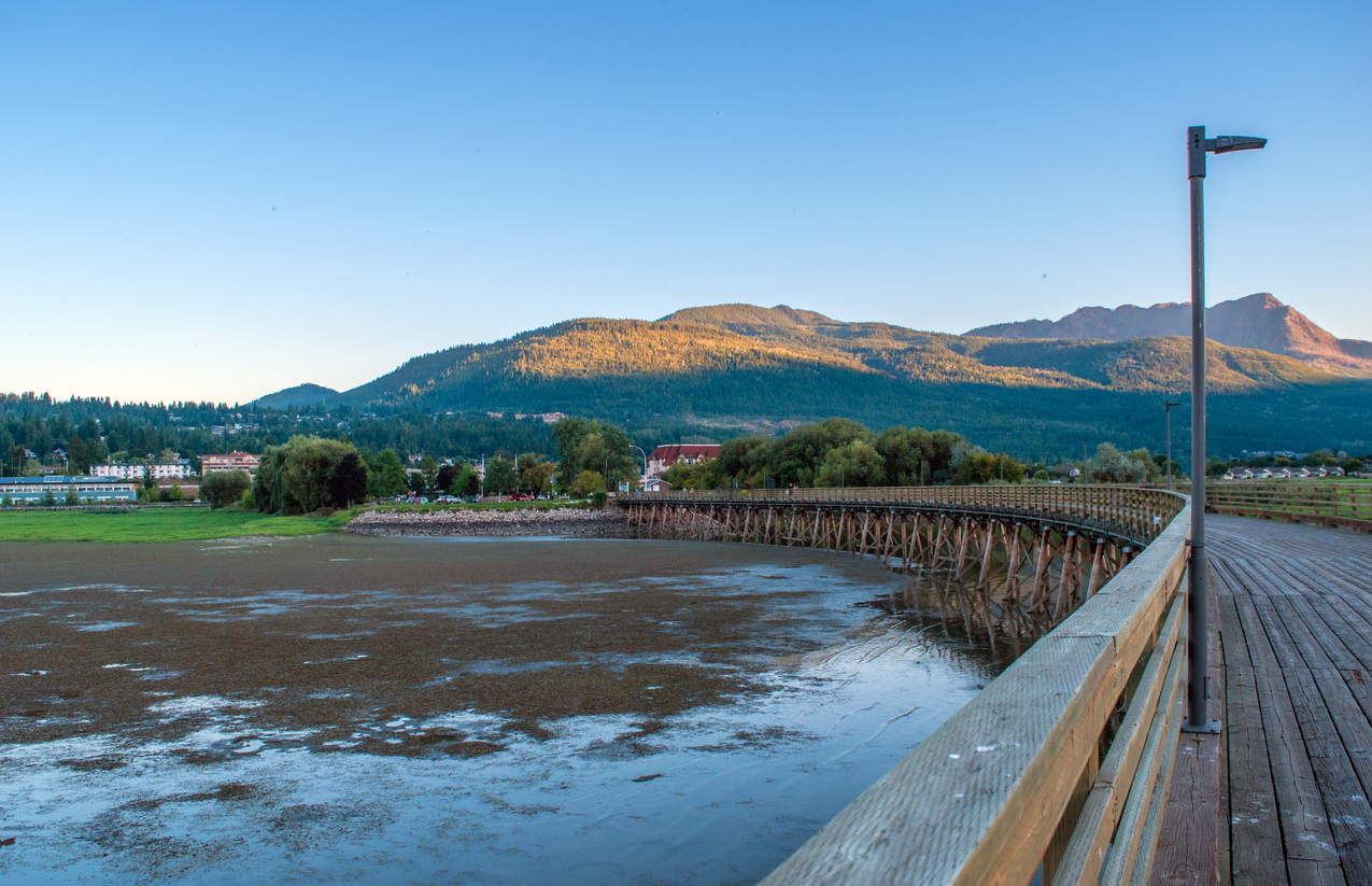 Salmon Arm Cognito Mental Health